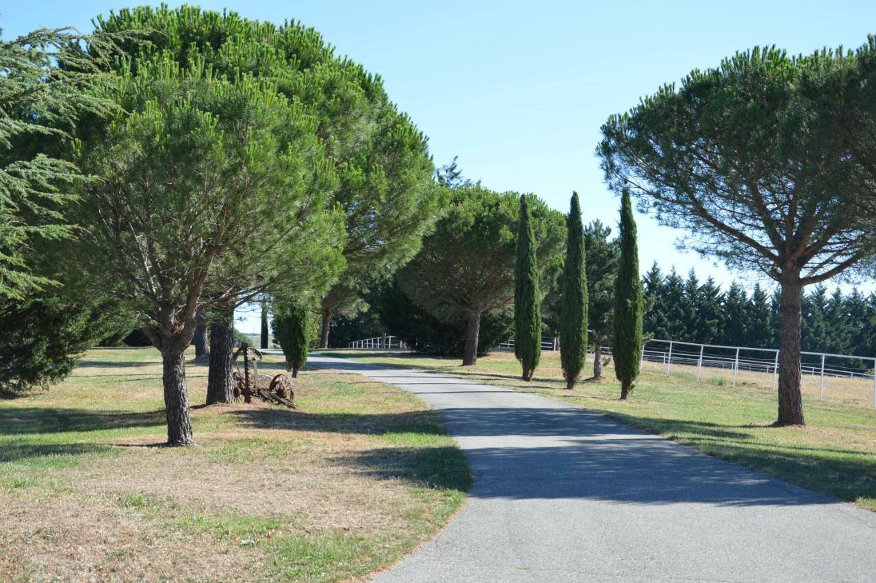 הוילה Etables  Les Hiboux Du Domaine Du Moulin מראה חיצוני תמונה